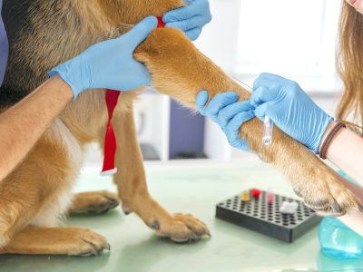 7. Laboratorio